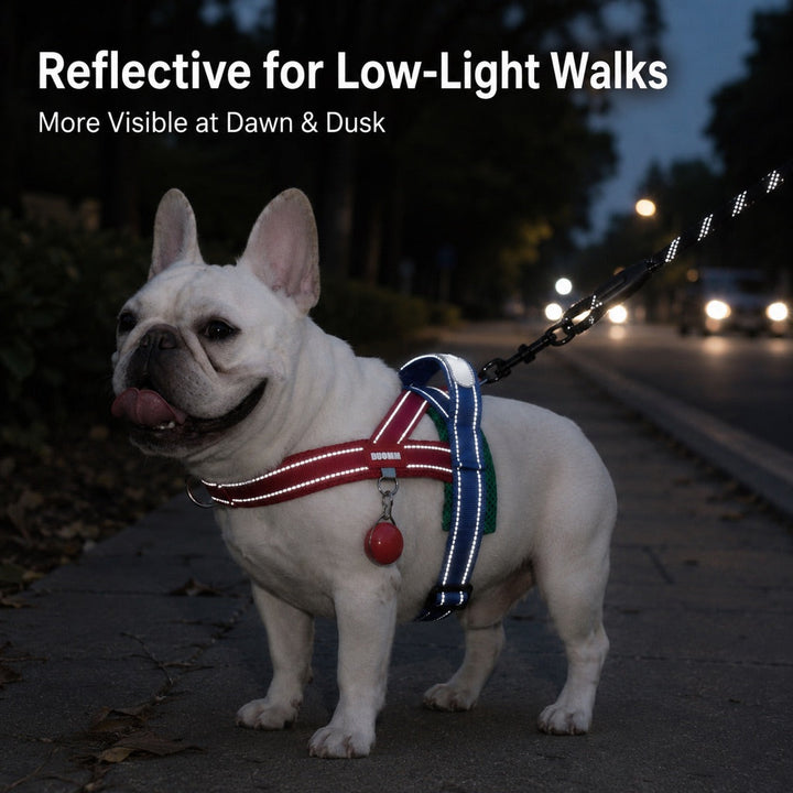 No-Choke French Bulldog Harness & Leash Set for Daily Walks