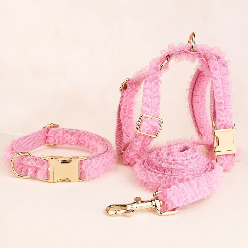 Boutique Lace Dog Harness, Collar & Leash Set for Birthday Photos & Daily Walks