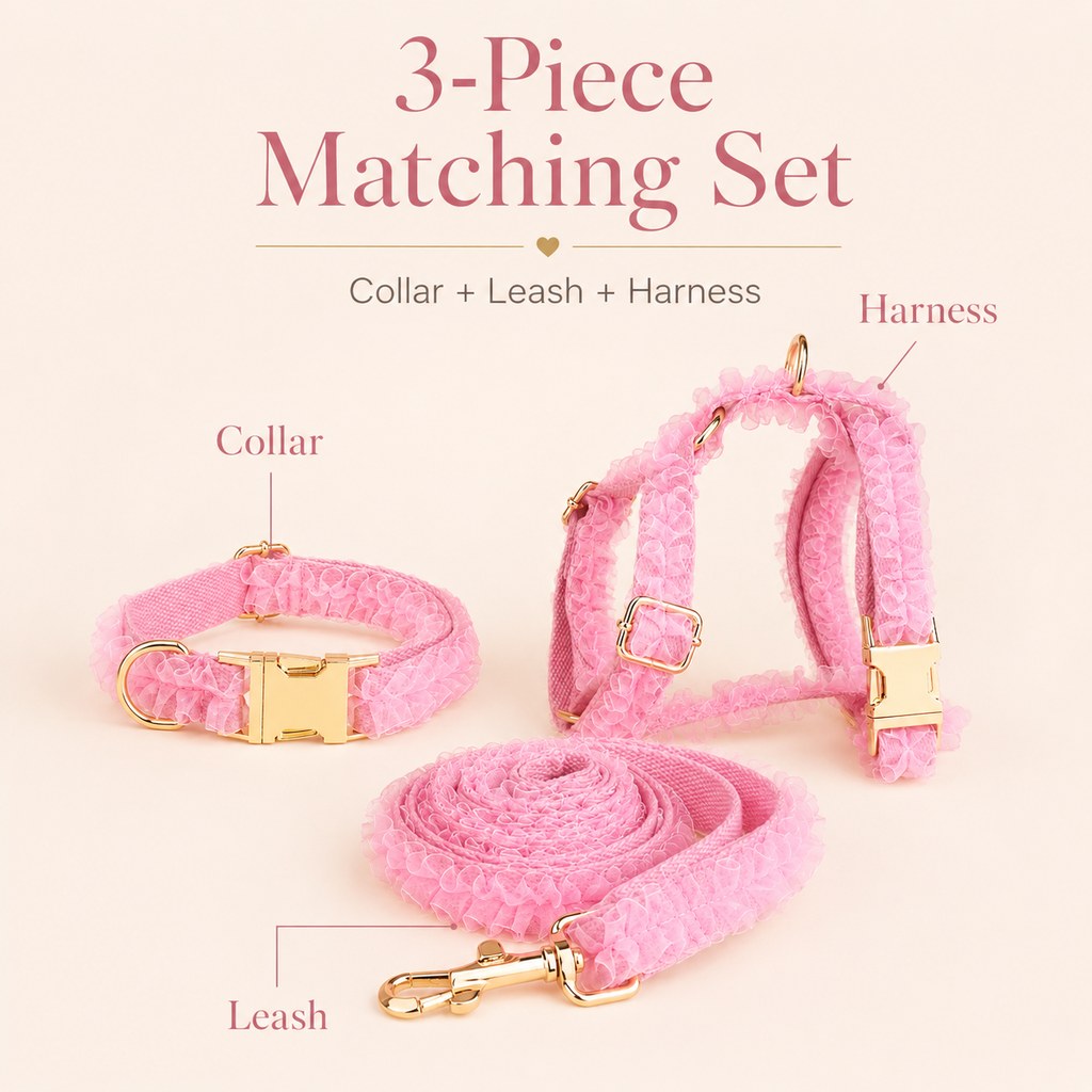Boutique Lace Dog Harness, Collar & Leash Set for Birthday Photos & Daily Walks