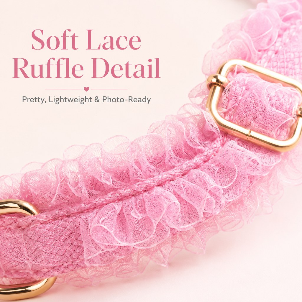 Boutique Lace Dog Harness, Collar & Leash Set for Birthday Photos & Daily Walks