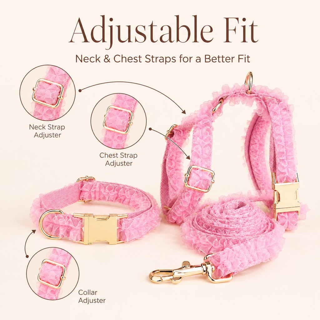 Boutique Lace Dog Harness, Collar & Leash Set for Birthday Photos & Daily Walks