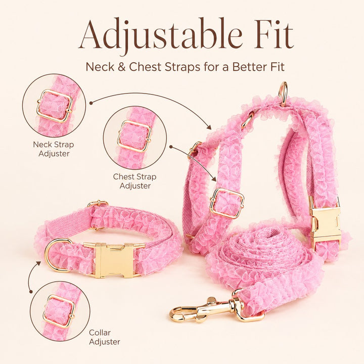 Boutique Lace Dog Harness, Collar & Leash Set for Birthday Photos & Daily Walks