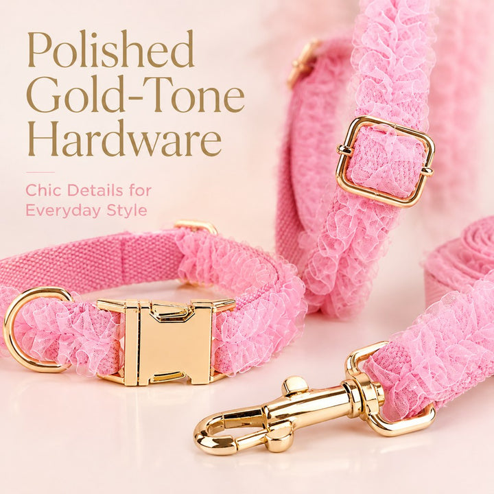Boutique Lace Dog Harness, Collar & Leash Set for Birthday Photos & Daily Walks