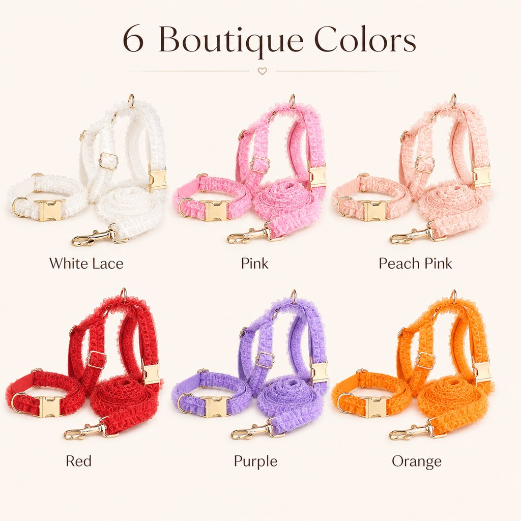 Boutique Lace Dog Harness, Collar & Leash Set for Birthday Photos & Daily Walks
