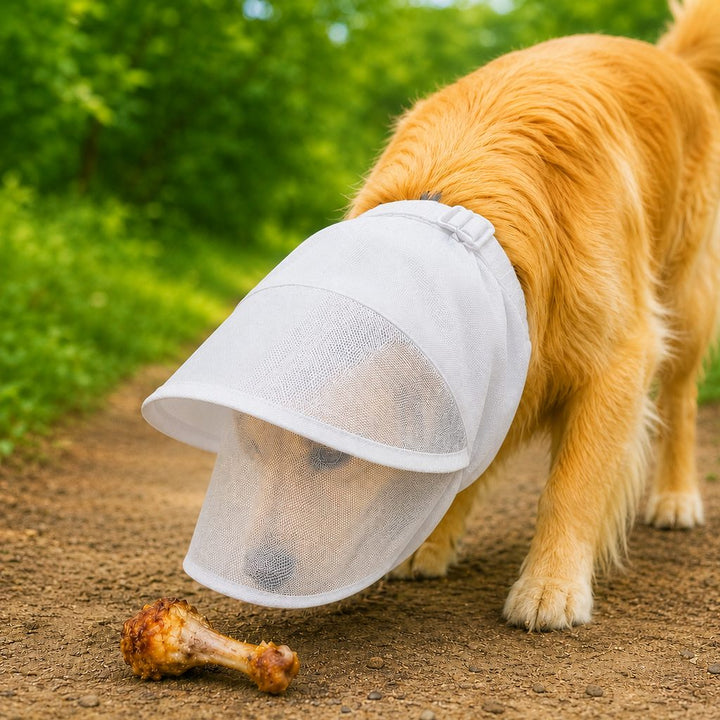 Breathable Anti-Scavenging Dog Muzzle for Walks | Mesh Hood Helps Block Food Scraps & Trash
