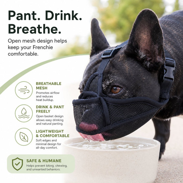 French Bulldog Breathable Mesh Muzzle for Walks, Grooming & Scavenging Control