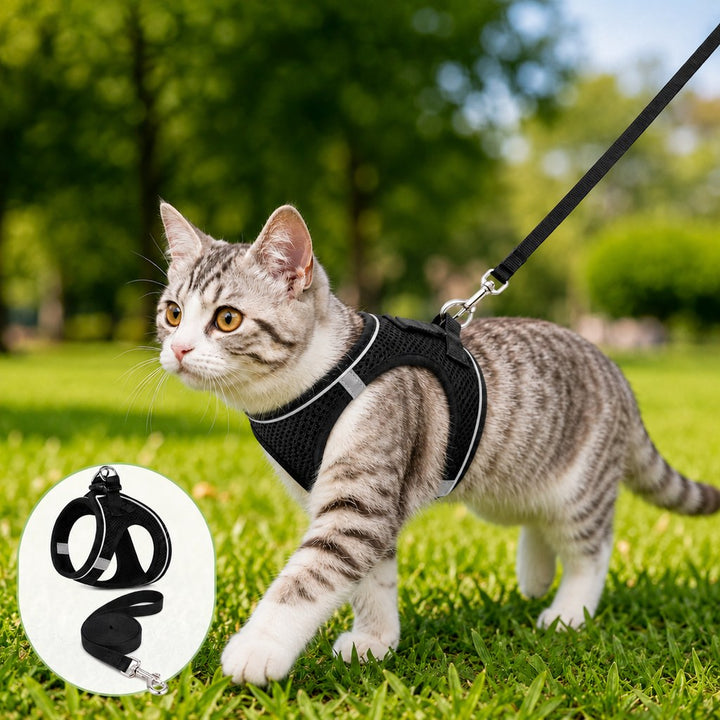 Breathable Cat Harness & Leash Set for Outdoor Walks | Adjustable Escape-Resistant Step-In Vest