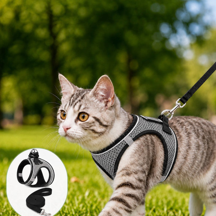 Breathable Cat Harness & Leash Set for Outdoor Walks | Adjustable Escape-Resistant Step-In Vest