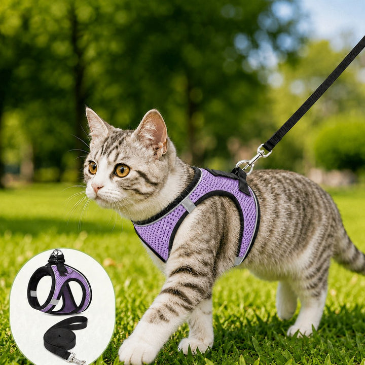 Breathable Cat Harness & Leash Set for Outdoor Walks | Adjustable Escape-Resistant Step-In Vest