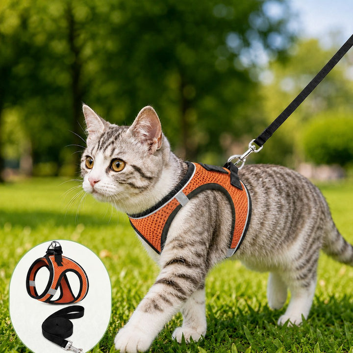 Breathable Cat Harness & Leash Set for Outdoor Walks | Adjustable Escape-Resistant Step-In Vest
