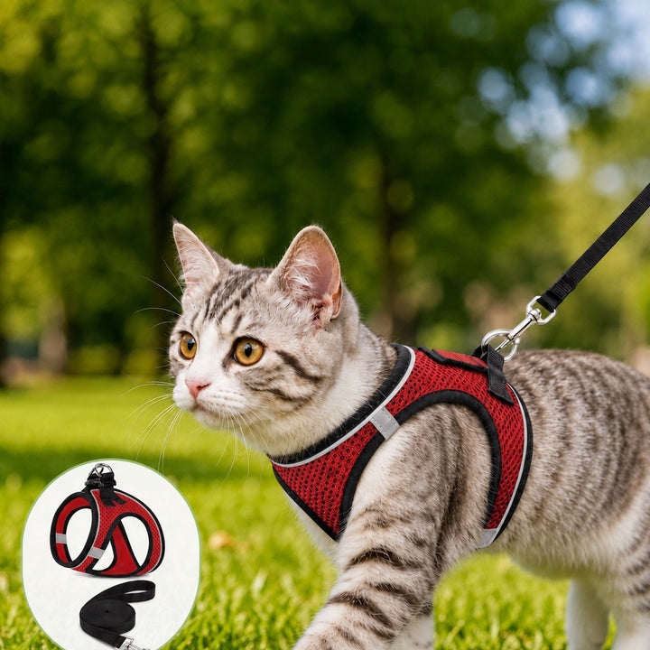Breathable Cat Harness & Leash Set for Outdoor Walks | Adjustable Escape-Resistant Step-In Vest