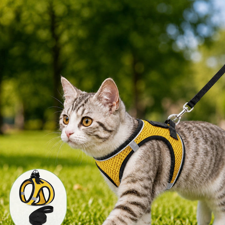 Breathable Cat Harness & Leash Set for Outdoor Walks | Adjustable Escape-Resistant Step-In Vest