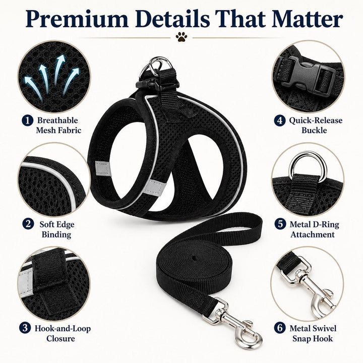 Breathable Cat Harness & Leash Set for Outdoor Walks | Adjustable Escape-Resistant Step-In Vest