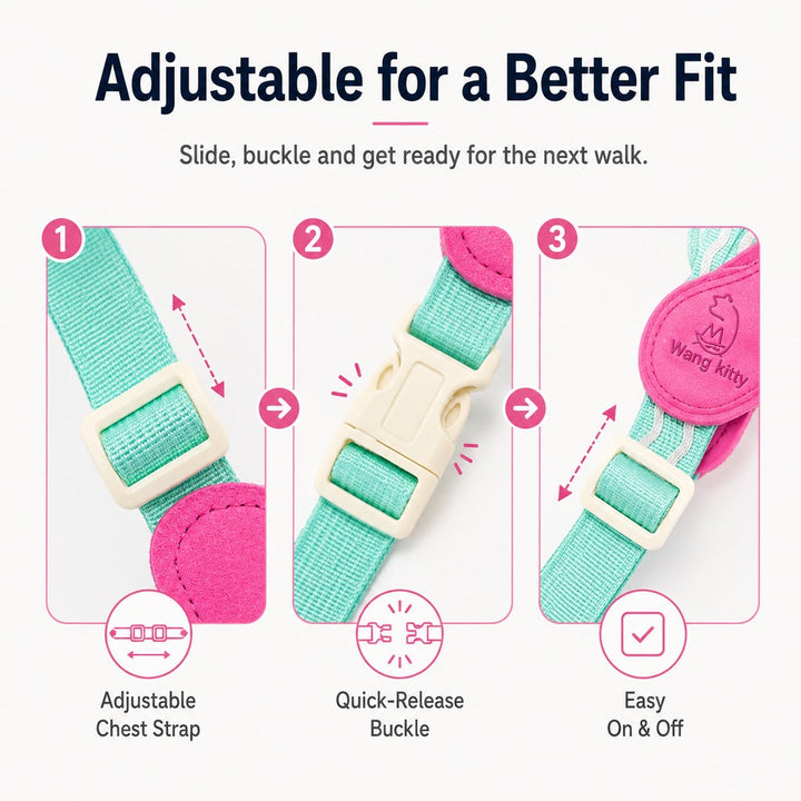 Breathable Padded Dog Harness & Leash Set for Daily Walks