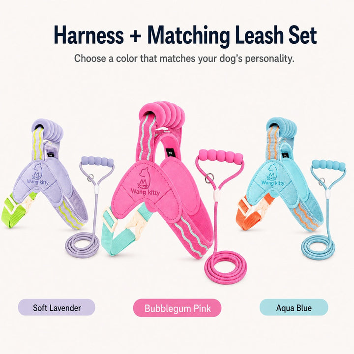 Breathable Padded Dog Harness & Leash Set for Daily Walks