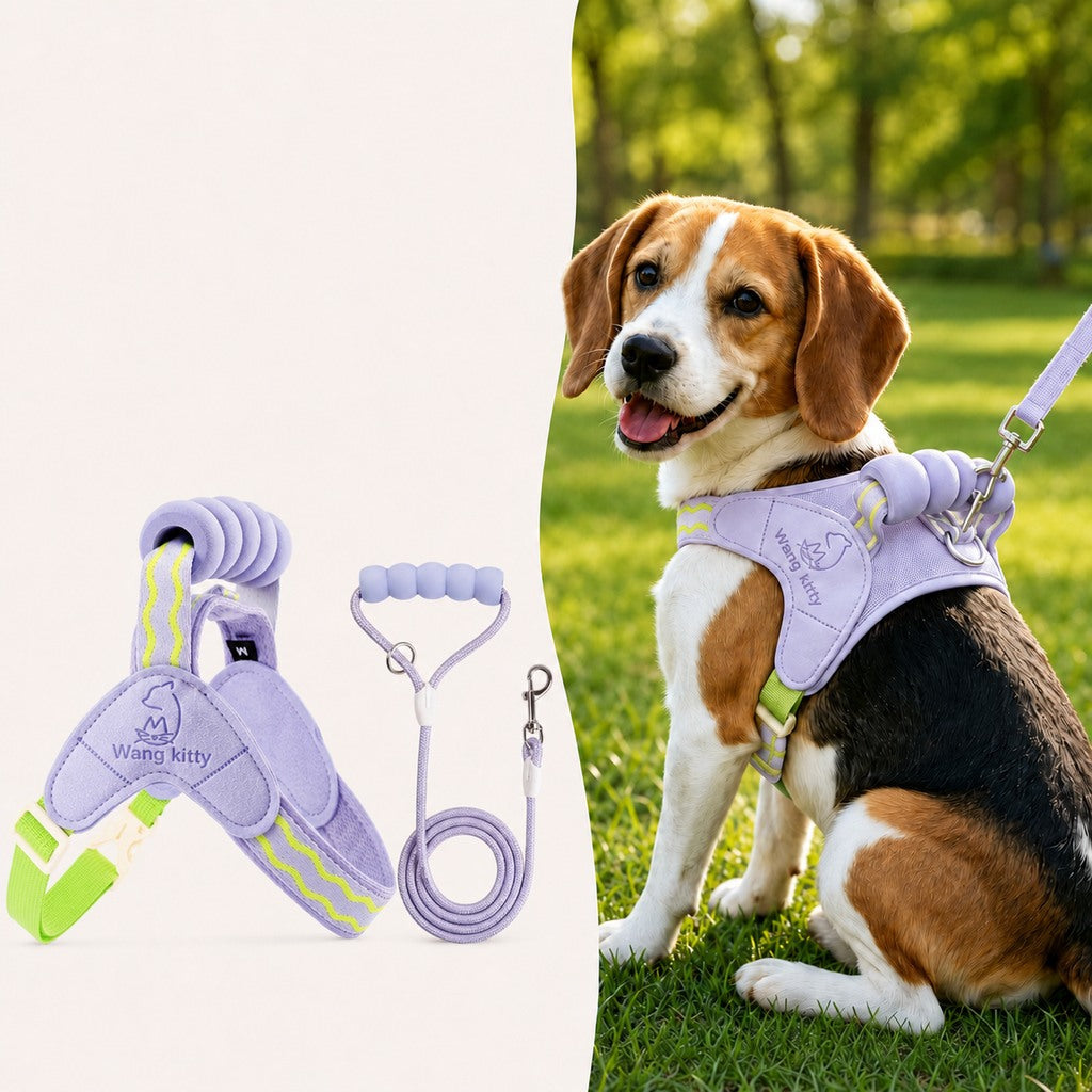 Breathable Padded Dog Harness & Leash Set for Daily Walks