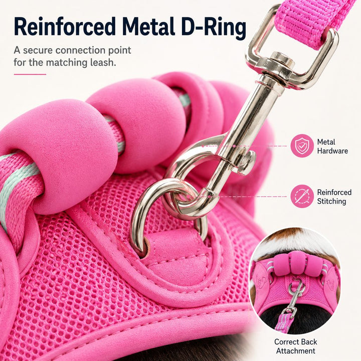 Breathable Padded Dog Harness & Leash Set for Daily Walks