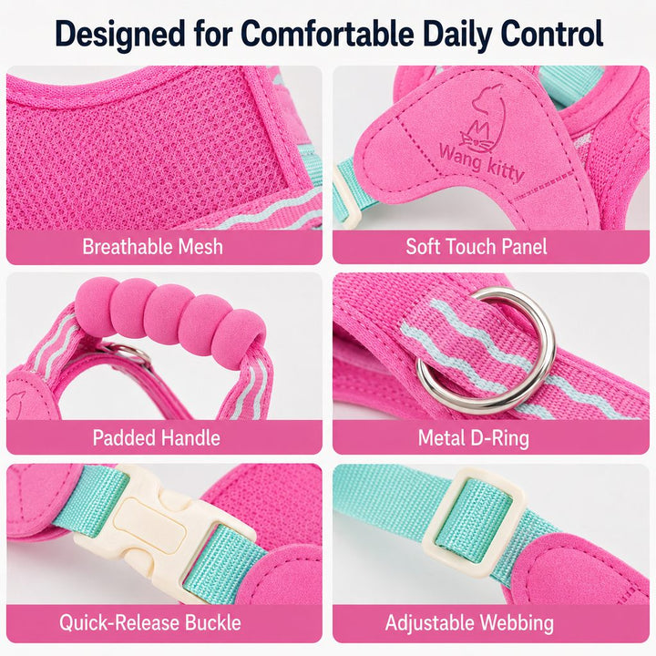 Breathable Padded Dog Harness & Leash Set for Daily Walks