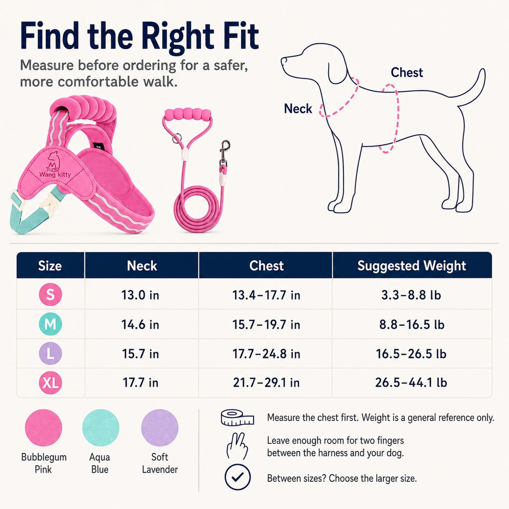 Breathable Padded Dog Harness & Leash Set for Daily Walks
