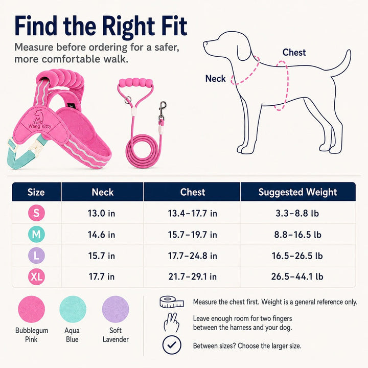 Breathable Padded Dog Harness & Leash Set for Daily Walks