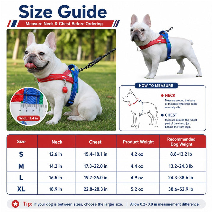 No-Choke French Bulldog Harness & Leash Set for Daily Walks