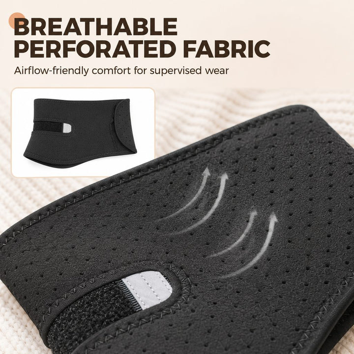 Adjustable Dog Neck Support Brace for At-Home Rest