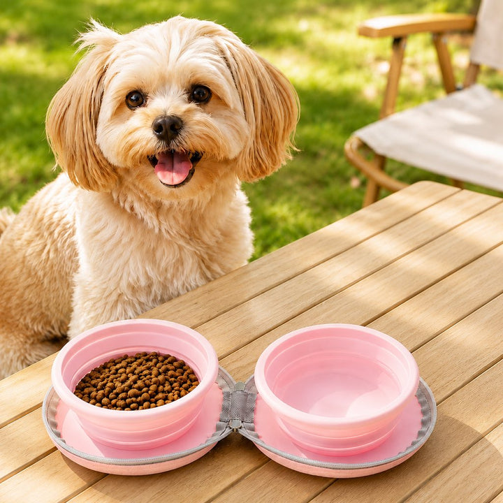 2-in-1 Collapsible Pet Travel Bowl for Walks, Parks & Road Trips