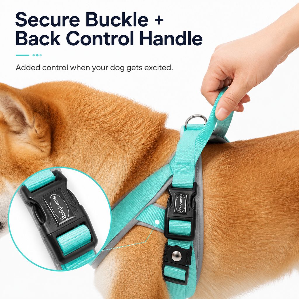 Quick-Fit Lightweight Dog Harness & Leash Set for Daily Walks