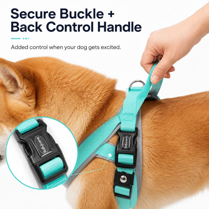 Quick-Fit Lightweight Dog Harness & Leash Set for Daily Walks