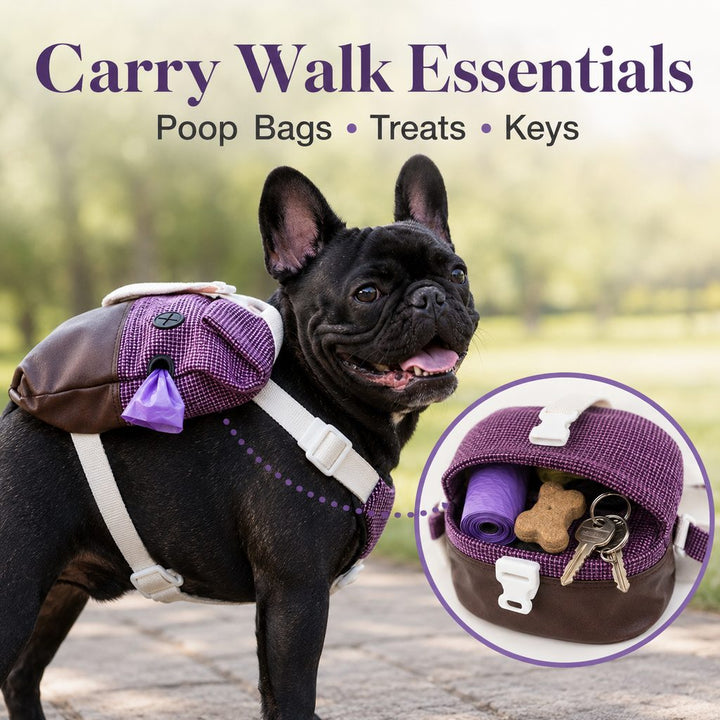 Frenchie Adventure Backpack Harness for Daily Walks