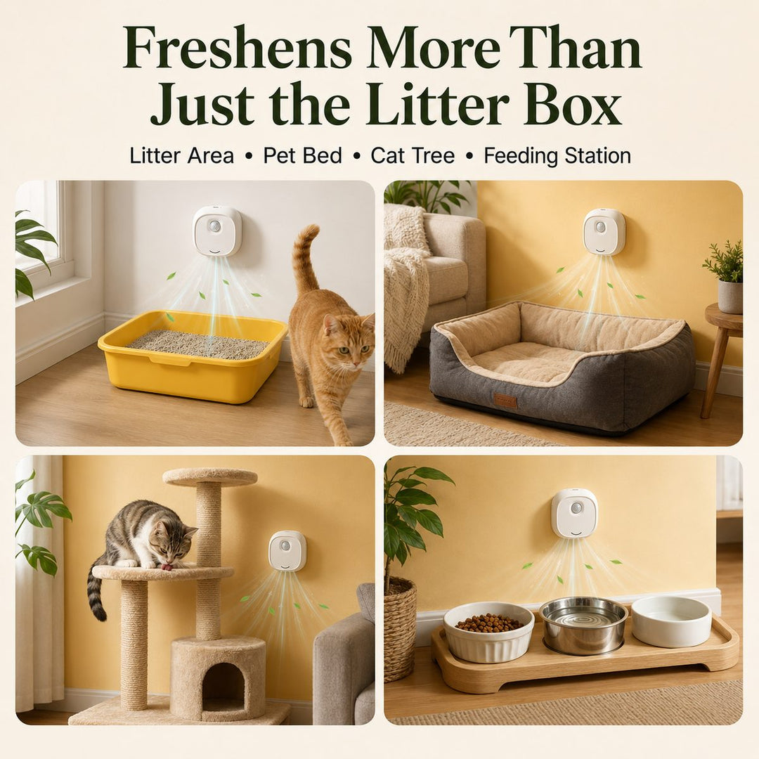Smart Cat Litter Box Deodorizer for Apartments & Bathrooms