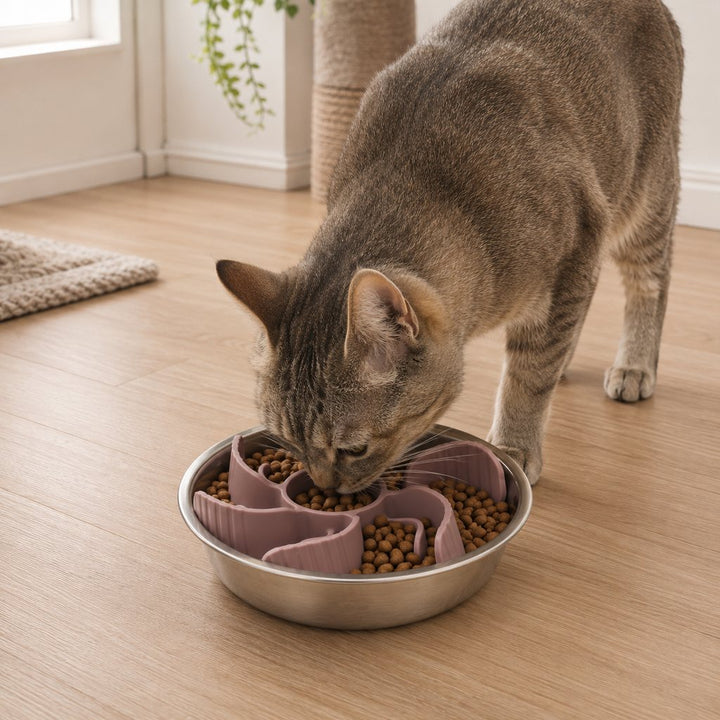 Cut-to-Fit Slow Feeder Insert & Stainless Steel Bowl Set for Fast-Eating Dogs & Cats