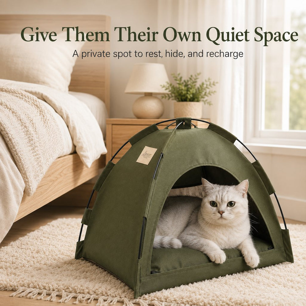 Cozy Foldable Cat Tent Bed for Apartment Naps | Breathable Hideaway with Removable Cushion