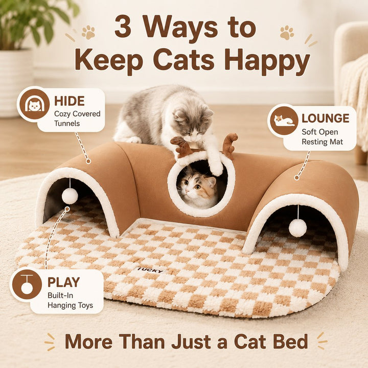 3-in-1 Multi-Cat Tunnel Bed & Play Mat for Indoor Cats