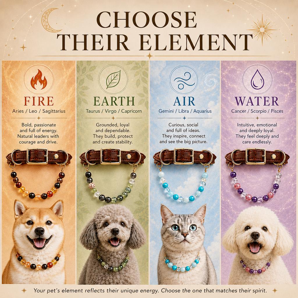 Four Elements Crystal Pet Collar Gift Box for Cats & Small Dogs