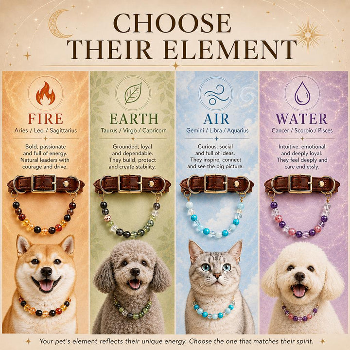 Four Elements Crystal Pet Collar Gift Box for Cats & Small Dogs
