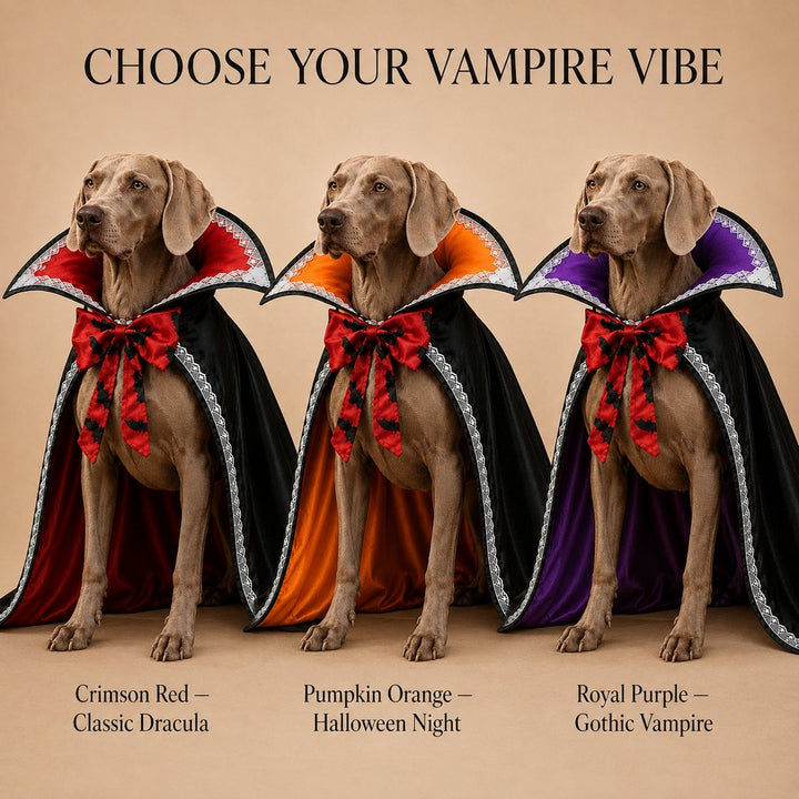Halloween Vampire Dog Cape Costume