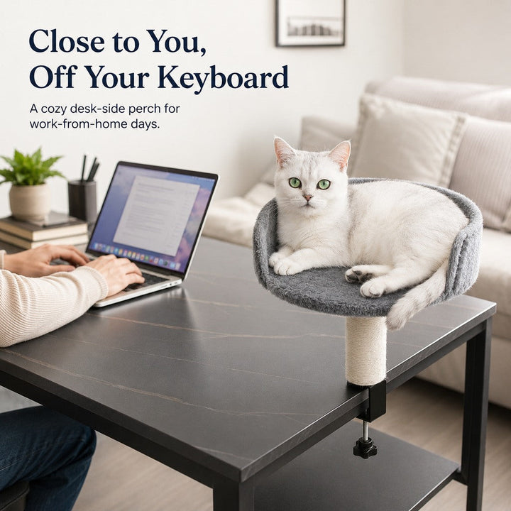 Clamp-On Cat Perch for Home Office Desks | Space-Saving Cat Bed with Sisal Scratching Post