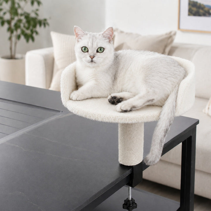 Clamp-On Cat Perch for Home Office Desks | Space-Saving Cat Bed with Sisal Scratching Post