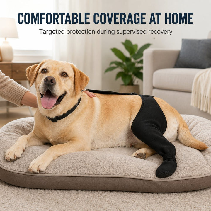 Adjustable Dog Rear Leg Recovery Sleeve with Paw Cover