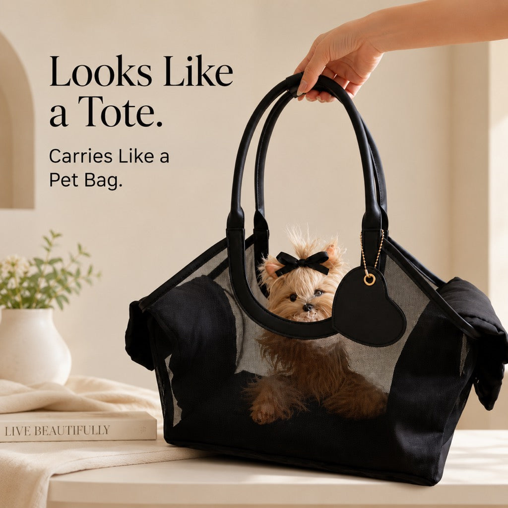 Chic Mesh Pet Carrier Tote for Cafe Runs & Vet Visits | Breathable Small Dog & Cat Travel Bag