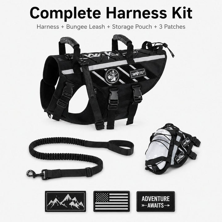 Outdoor Dog Harness & Bungee Leash Set with Dual Handles, Storage Pouch & Patch Accessories for Hiking, Walking and Ever