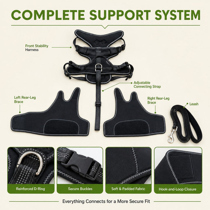 Dual Rear Leg Dog Support Brace with Harness | Walking Stability for Weak Hind Legs