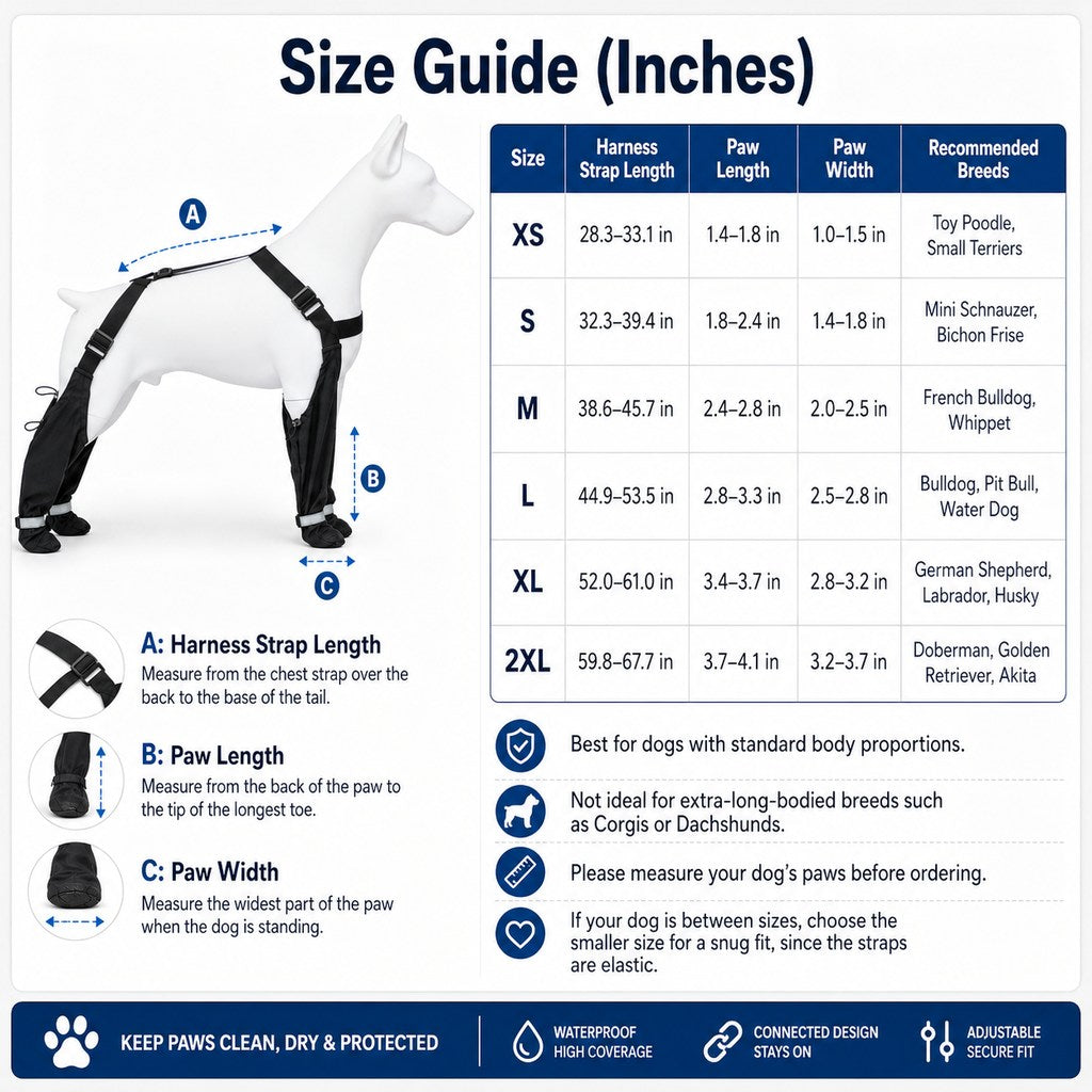 4-in-1 Connected Dog Boots for Rainy Walks