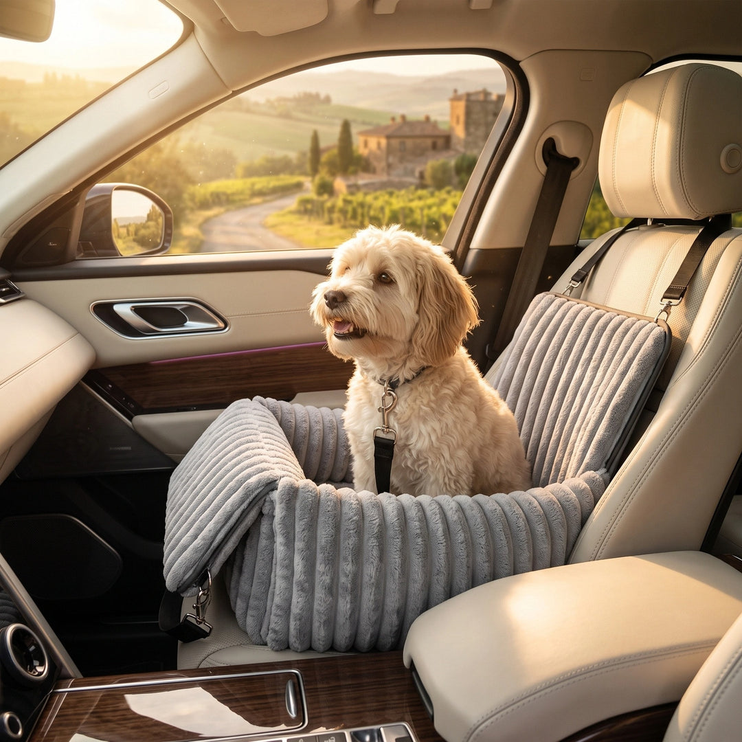 Cosy Dog Car Seat with Elevated Design and Secure Attachment