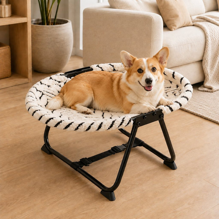 Foldable Elevated Pet Cot for Cats & Small Dogs