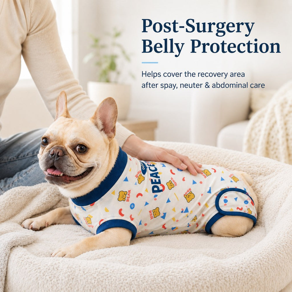 Dog Recovery Suit for Post-Surgery Belly Protection
