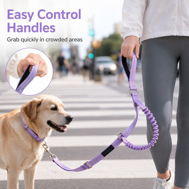 Hands-Free Shock-Absorbing Dog Leash for Running, Walking & Car Travel