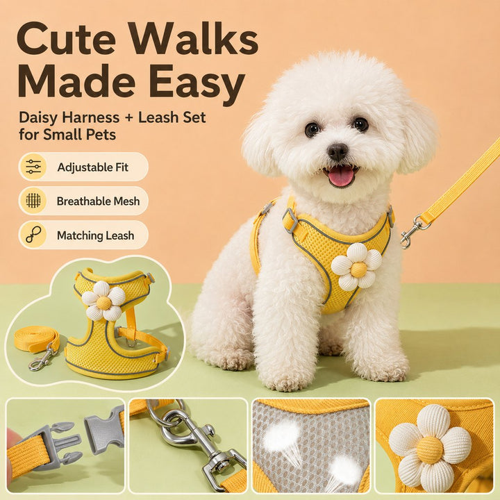 Daisy Pet Harness & Leash Set for Daily Walks