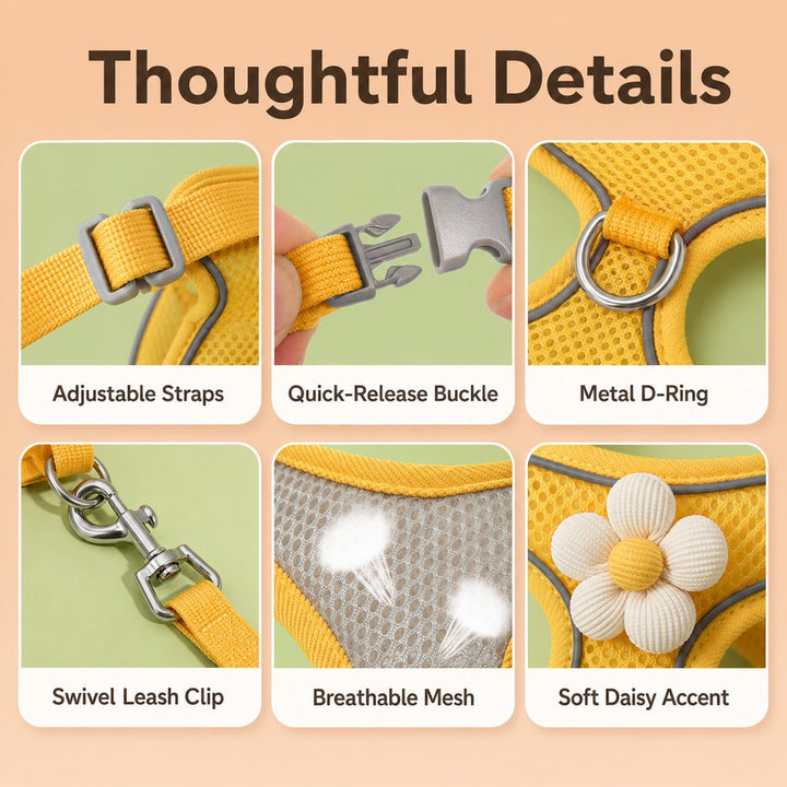 Daisy Pet Harness & Leash Set for Daily Walks